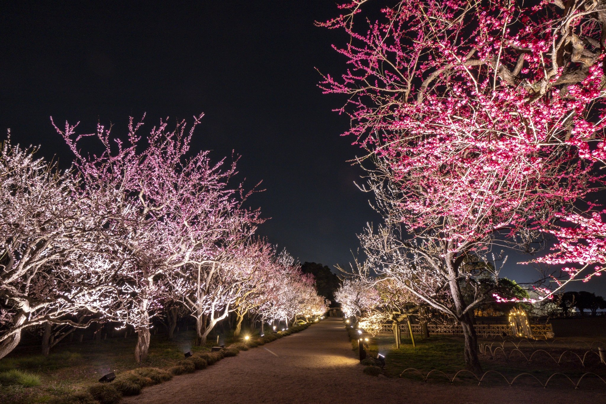 🏞️ 센바 공원 이미지 12